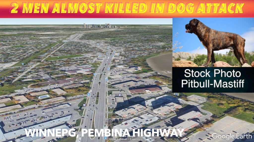 two men almost killed in winnipeg dog attack Archives iNewZ