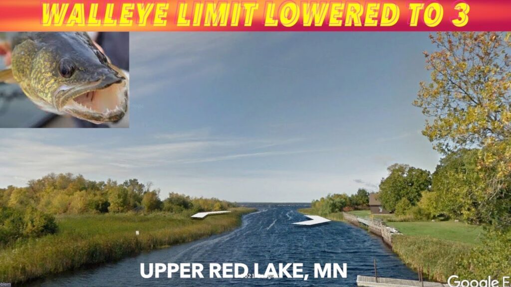Walleye Limit Lowered To 3 On Upper Red Lake, Minnesota iNewZ