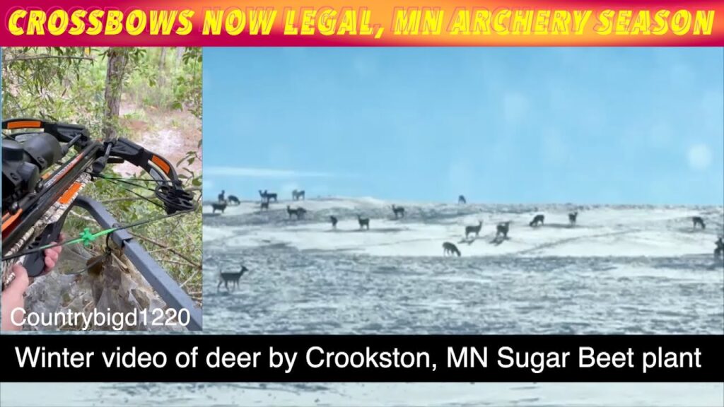 Crossbows Now Legal For Minnesota Deer Archery Season iNewZ