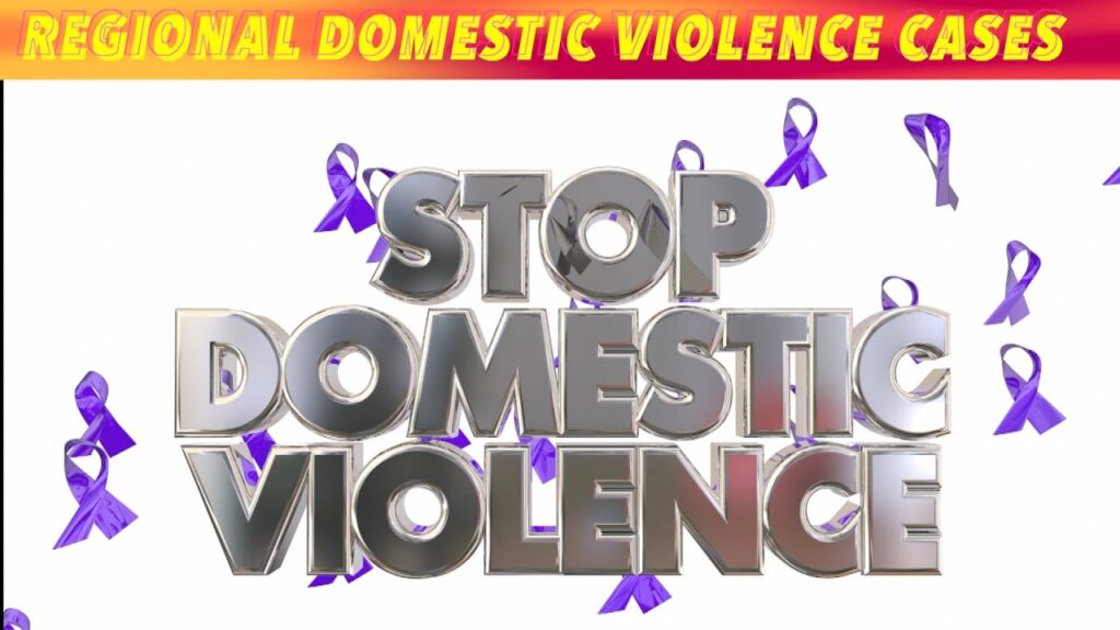 Regional Domestic Violence Cases iNewZ