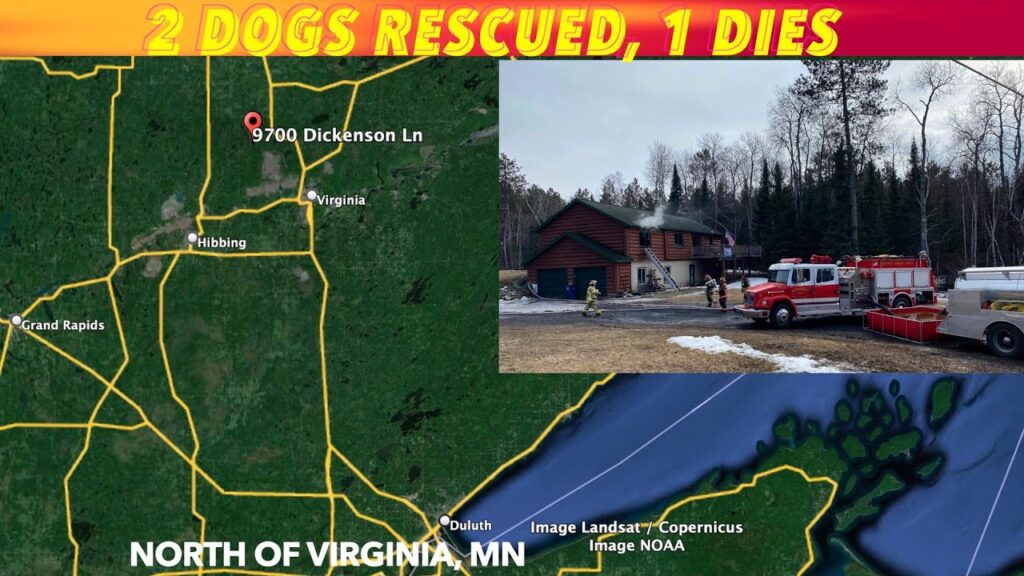 Two Dogs Rescued, 1 Dies In Northern Minnesota House Fire iNewZ