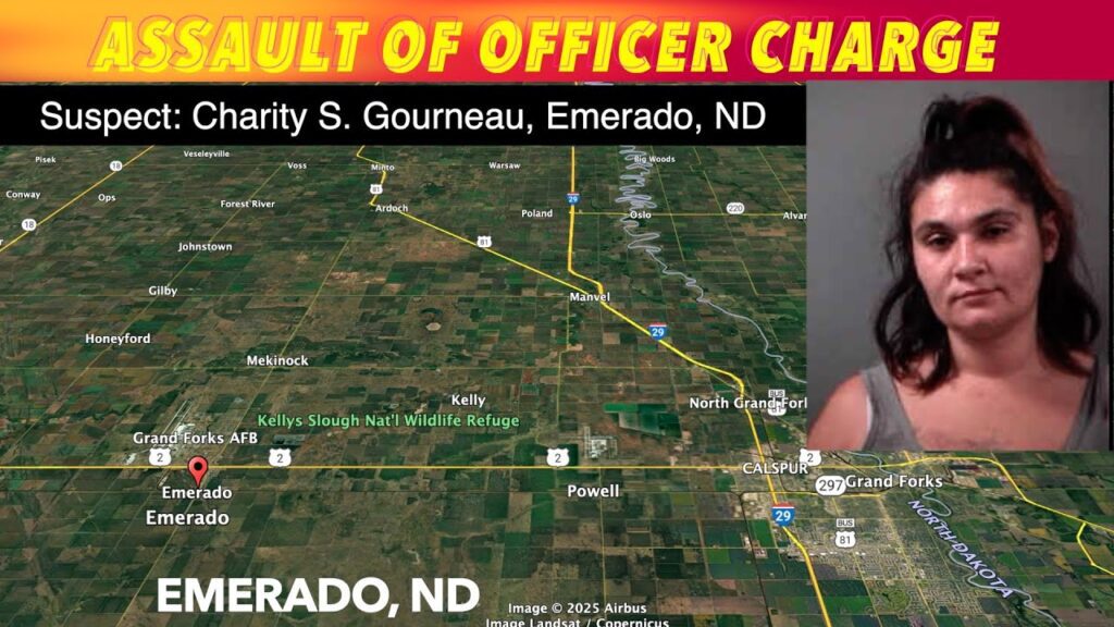 Emerado Woman Facing Felony Charges - iNewZ