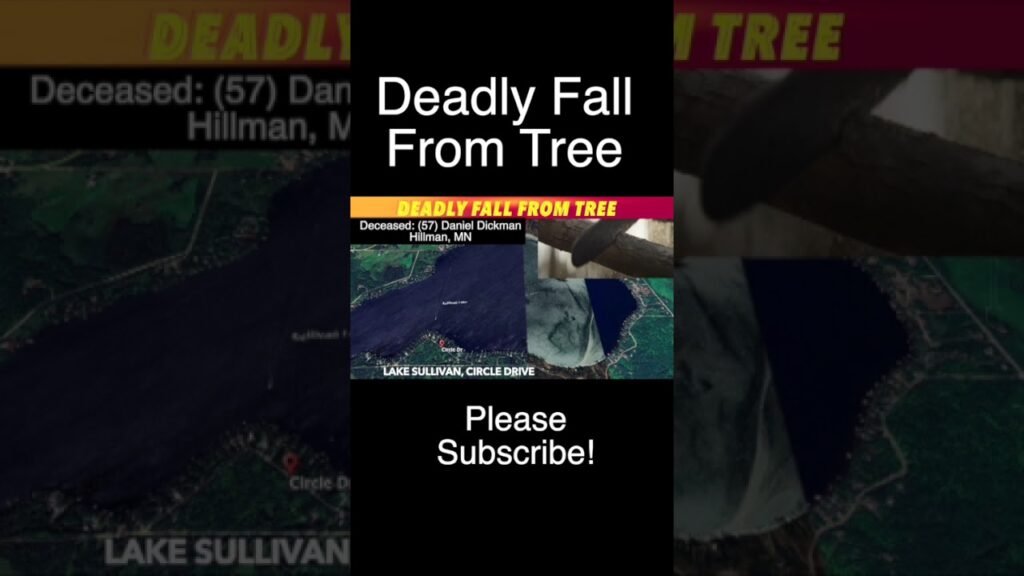 Deadly Fall From Tree In Minnesota - iNewZ